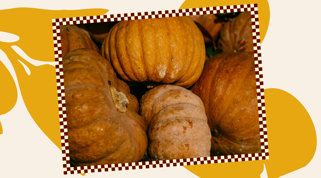 4 Ways to Upcycle Your Pumpkins