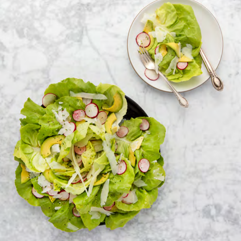 Butterhead Lettuce with Avocado, Radish and Pecorino Romano