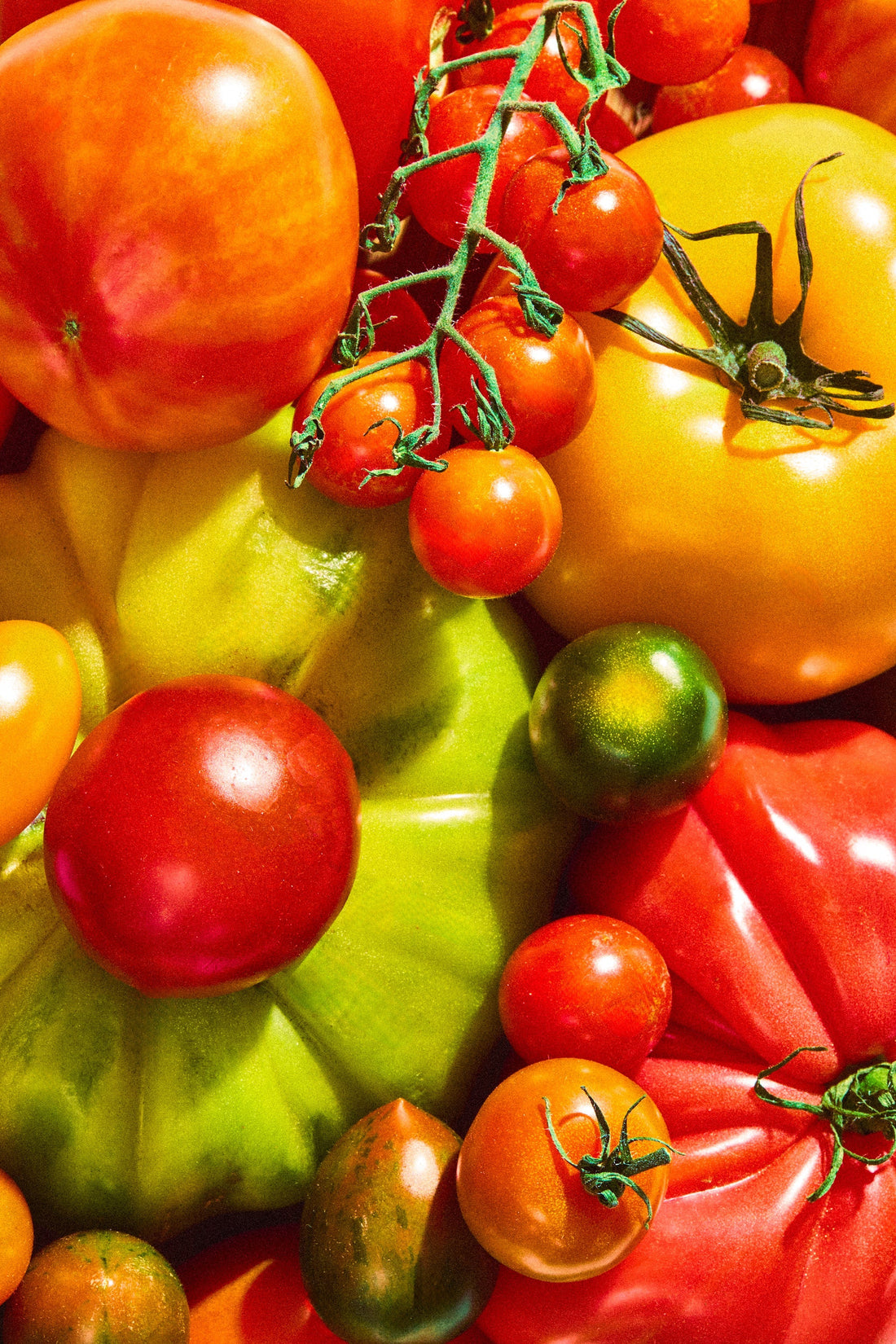 Our Favorite, Cozy, Must-Make Soups This Season