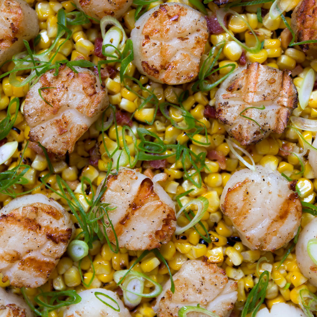 Diver Scallops With Charred Sweet Corn, Bacon And Scallions